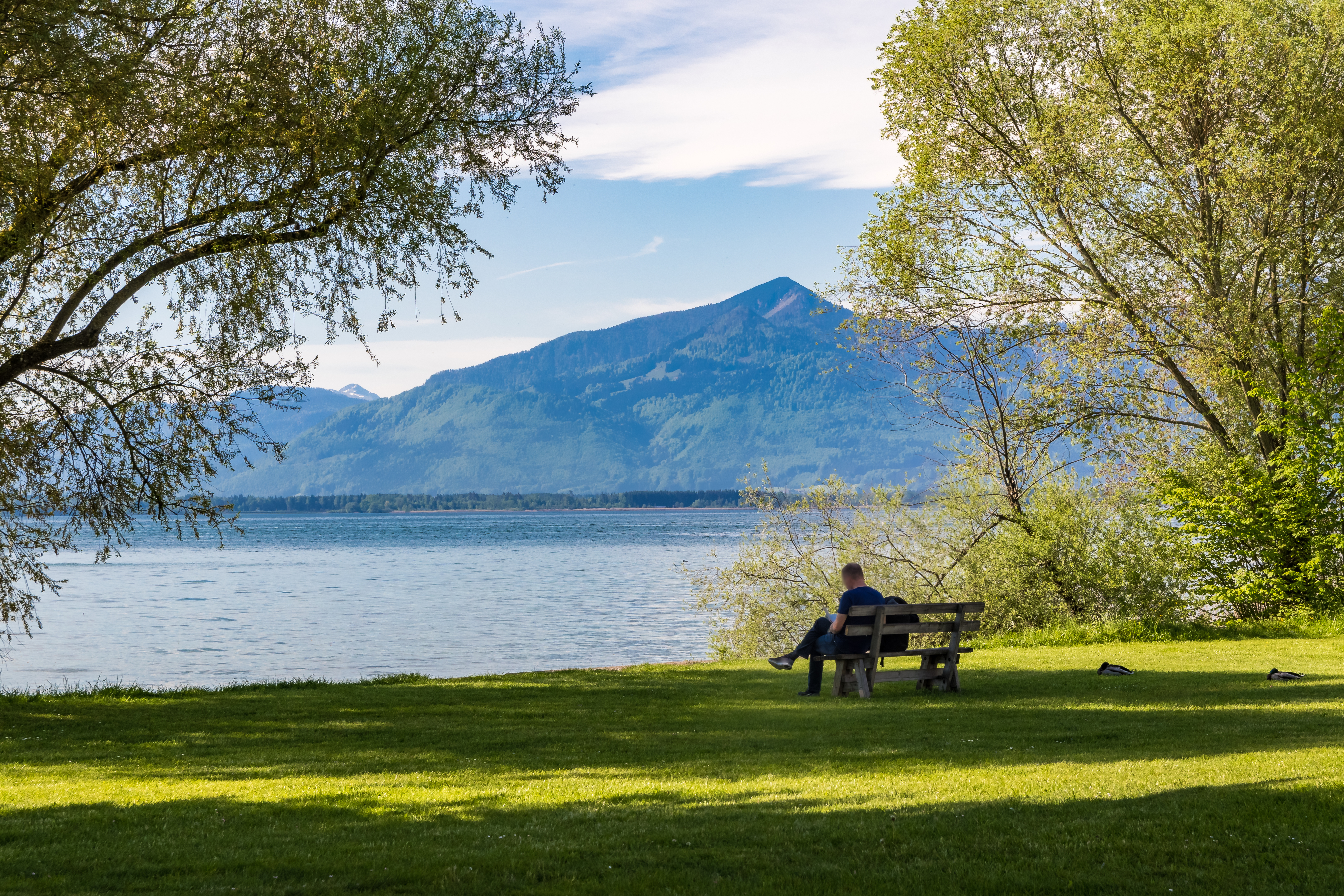 Blick auf Chiemsee